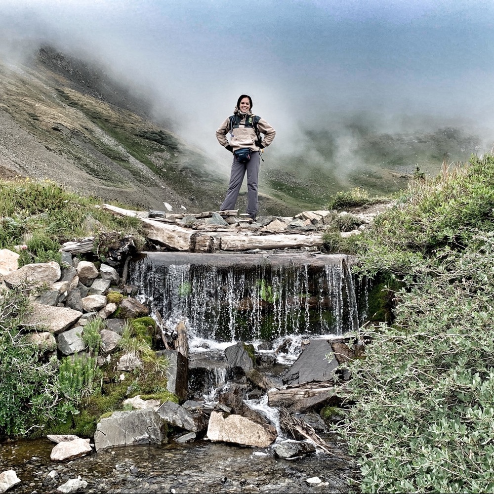 Meet your Posher, Shelley